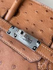 Hermes Birkin 25 Brown Ostrich Leather Silver Buckle 25cm - 4