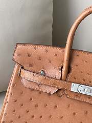 Hermes Birkin 25 Brown Ostrich Leather Silver Buckle 25cm - 5