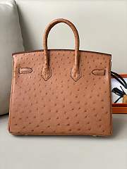 Hermes Birkin 25 Brown Ostrich Leather Silver Buckle 25cm - 6