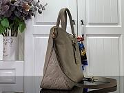 Louis Vuitton LV Trianon MM Gray 36x22x9cm - 6