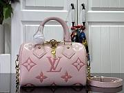 Louis Vuitton LV Seedy Bandoulière 20 Pink 20.5x13.5x12cm - 1