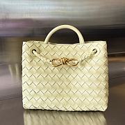 Bottega Veneta Small Andiamo Ice Cream 25x22x10.5cm - 1