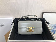 Celine Triomphe Shoulder Bag Gray 20x10x4cm - 1