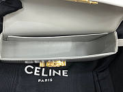 Celine Triomphe Shoulder Bag Gray 20x10x4cm - 3