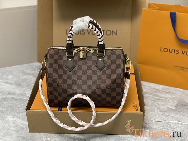 Louis Vuitton LV Braided Speedy 25 Damier 25 x 22 x 15 cm - 1