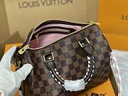 Louis Vuitton LV Braided Speedy 25 Damier 25 x 22 x 15 cm - 3