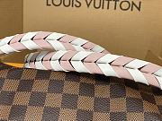 Louis Vuitton LV Braided Speedy 25 Damier 25 x 22 x 15 cm - 2