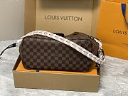 Louis Vuitton LV Braided Neverfull MM Damier 31 x 28 x 14 cm - 4