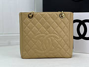 Chanel Petit Shopping Tote PST Beige 24x25.5cm - 1