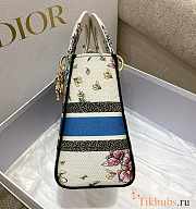 Dior Lady D-lite Latte Multicolor Embroidery 24cm - 6