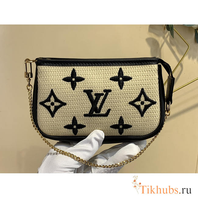 Louis Vuitton LV Mini Pochette Accessoires 15.5 x 10.5 x 4 cm - 1