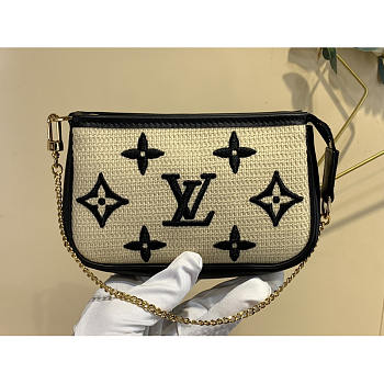 Louis Vuitton LV Mini Pochette Accessoires 15.5 x 10.5 x 4 cm