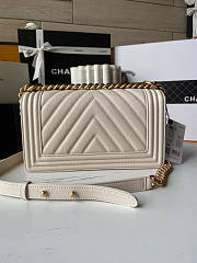 Chanel Leboy Chevron White Caviar Gold 25cm - 4