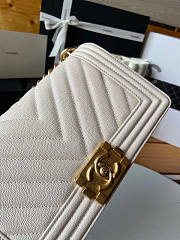 Chanel Leboy Chevron White Caviar Gold 25cm - 6