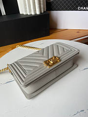 Chanel Leboy Chevron Grey Caviar Gold 25cm - 6