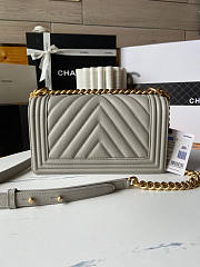Chanel Leboy Chevron Grey Caviar Gold 25cm - 4
