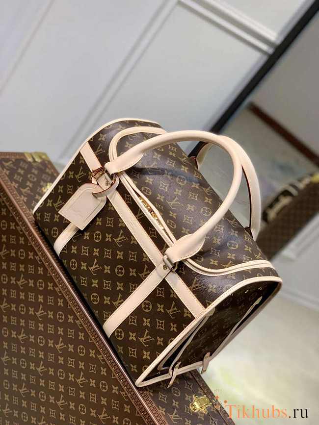 Louis Vuitton LV Pet 40x23x29cm - 1