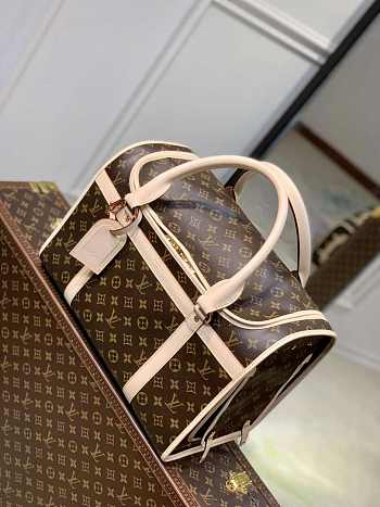 Louis Vuitton LV Pet 40x23x29cm