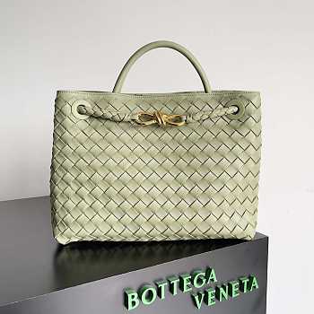 Bottega Veneta Medium Andiamo Green 32.5x24x12cm