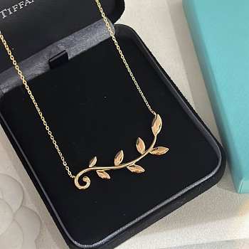 Tiffany & Co Necklace 003