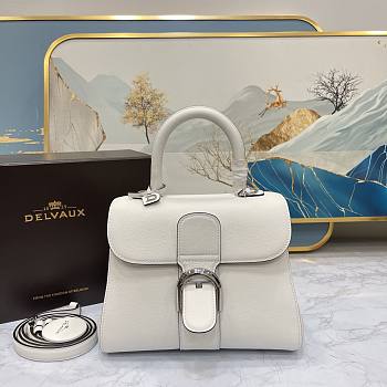 Delvaux Brillant PM White 24x12x19cm