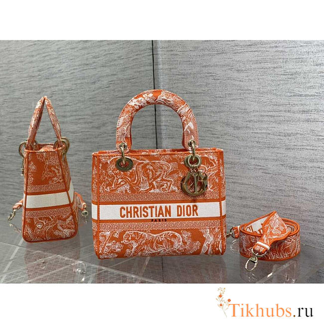 Dior Medium Lady D-Lite Bag Embroidery Orange 24cm - 1