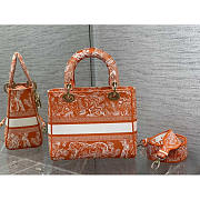 Dior Medium Lady D-Lite Bag Embroidery Orange 24cm - 3