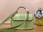 Louis Vuitton LV Hide and Seek Green 21 x 15 x 8 cm - 3