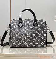 Louis Vuitton LV Speedy 25 Grey Bag 25x19x15cm - 1