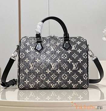 Louis Vuitton LV Speedy 25 Grey Bag 25x19x15cm