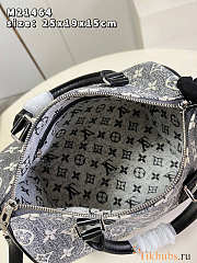 Louis Vuitton LV Speedy 25 Grey Bag 25x19x15cm - 3