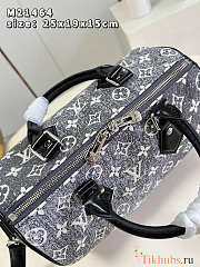 Louis Vuitton LV Speedy 25 Grey Bag 25x19x15cm - 2