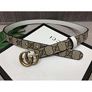 Gucci Double G Gold-Tone Belt White Gray Width 2cm - 1