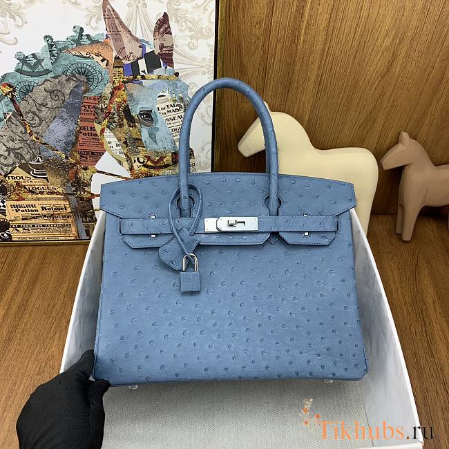 Hermes Birkin Ostrich Blue Leather Silver Buckle 30cm - 1