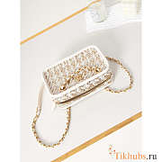 Chanel Small Camera Bag White And Gold 13.5x20.5x7cm - 5