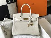 Hermes Birkin Crocodile White Gold Hardware 30cm - 1