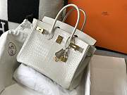 Hermes Birkin Crocodile White Gold Hardware 30cm - 2