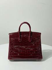 Hermes Birkin 25 Red Wine Crocodile Gold Hardware 25cm - 5