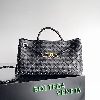 Bottega Veneta Small East/West Andiamo Black 29x18x10cm