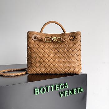 Bottega Veneta Small Andiamo Brown 25x22x10.5cm