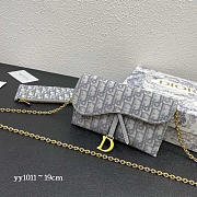 Dior Saddle Wallet With Chain Grey 19x10.5x3.5cm - 1