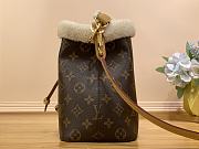 Louis Vuitton LV Néonoé BB Monogram 20 x 20 x 13 cm - 5