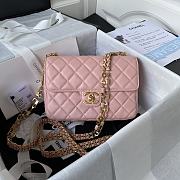 Chanel Small Flap Bag Gold Pink 20.5x17x6.5cm - 1