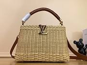 Louis Vuitton LV Capucines BB Natural Rattan 27 x 17 x 14 cm - 1