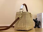 Louis Vuitton LV Capucines BB Natural Rattan 27 x 17 x 14 cm - 5