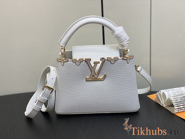 Louis Vuitton LV White Gold 21 x 14 x 8 cm - 1