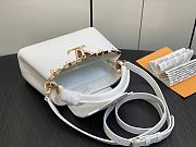 Louis Vuitton LV White Gold 21 x 14 x 8 cm - 4