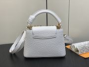 Louis Vuitton LV White Gold 21 x 14 x 8 cm - 2