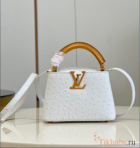 Louis Vuitton LV Mini Capucines Ostrich White 21cm - 1