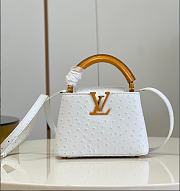 Louis Vuitton LV Mini Capucines Ostrich White 21cm - 1